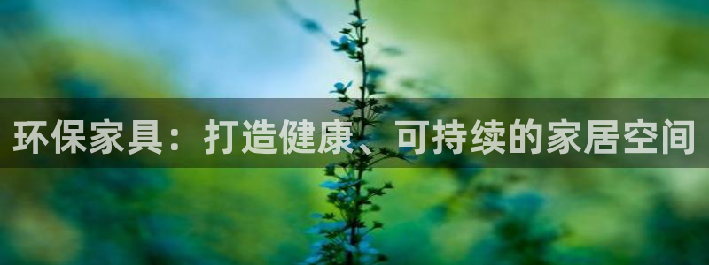 杏耀主管qq：环保家具：打造健康、可持续的家居空间